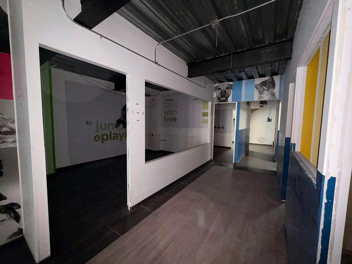 Retail Space in Lomas de Chapultepec I Sección, Miguel Hidalgo, photo 12 of 17