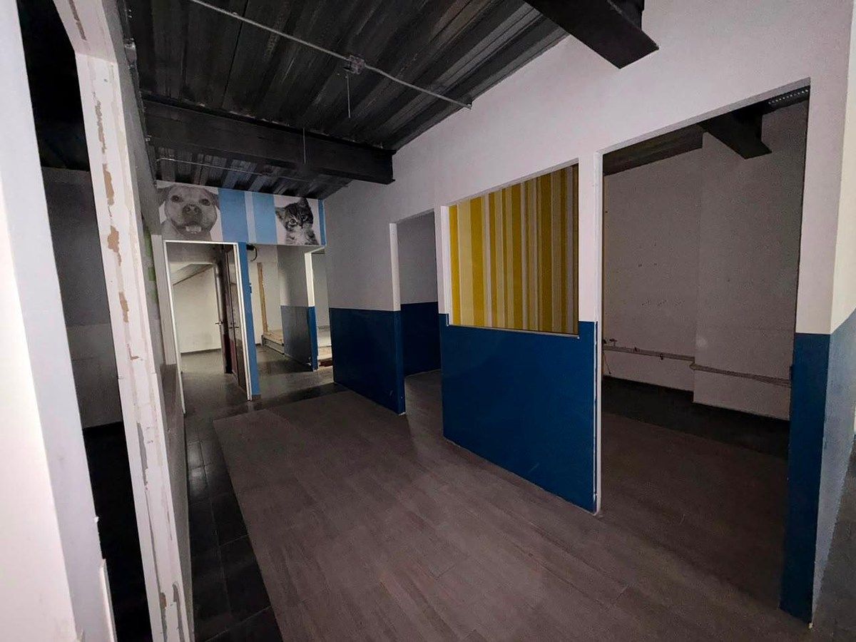 Retail Space in Lomas de Chapultepec I Sección, Miguel Hidalgo, photo 13 of 17