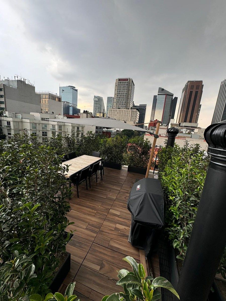 11 of 11: Roof Garden