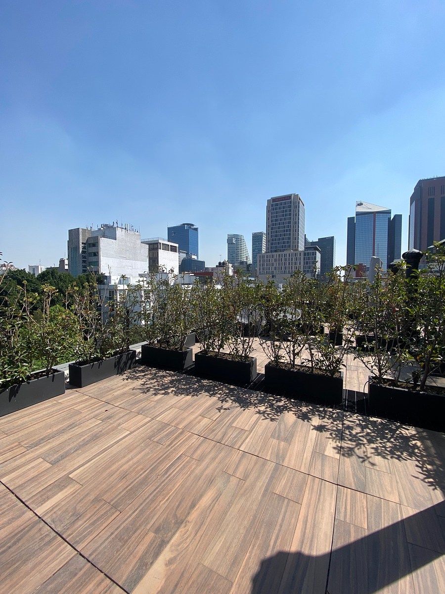 10 of 11: Área común