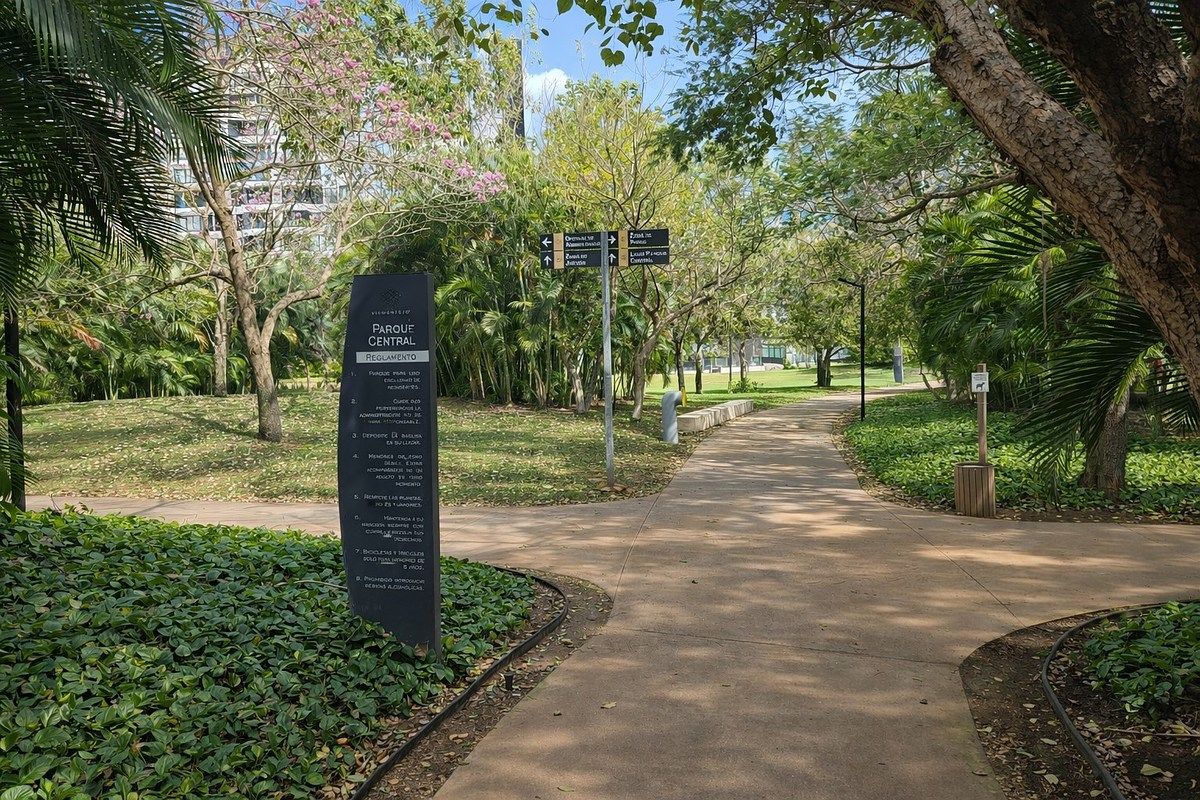 33 de 39: Parque central