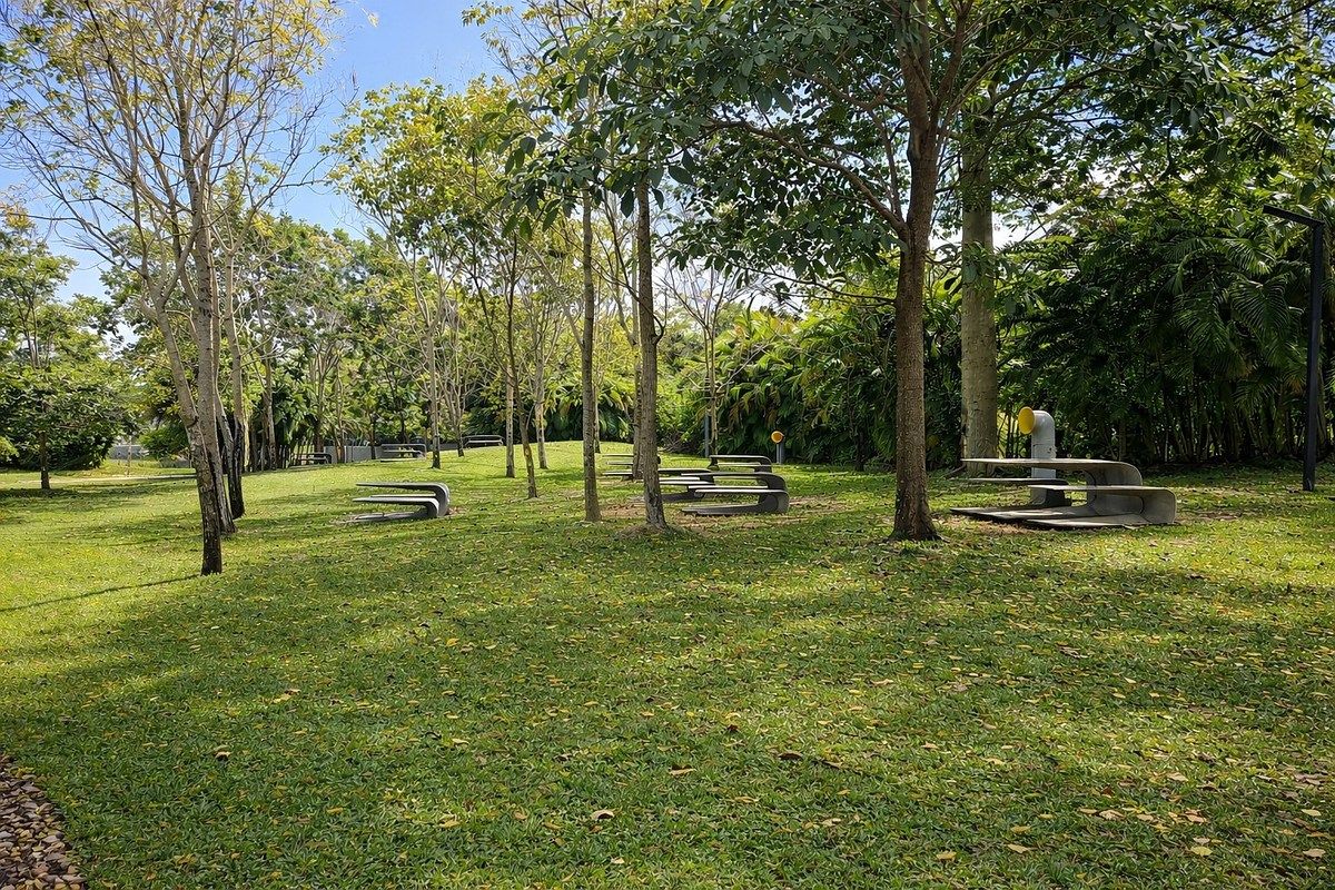 38 de 39: Parque central