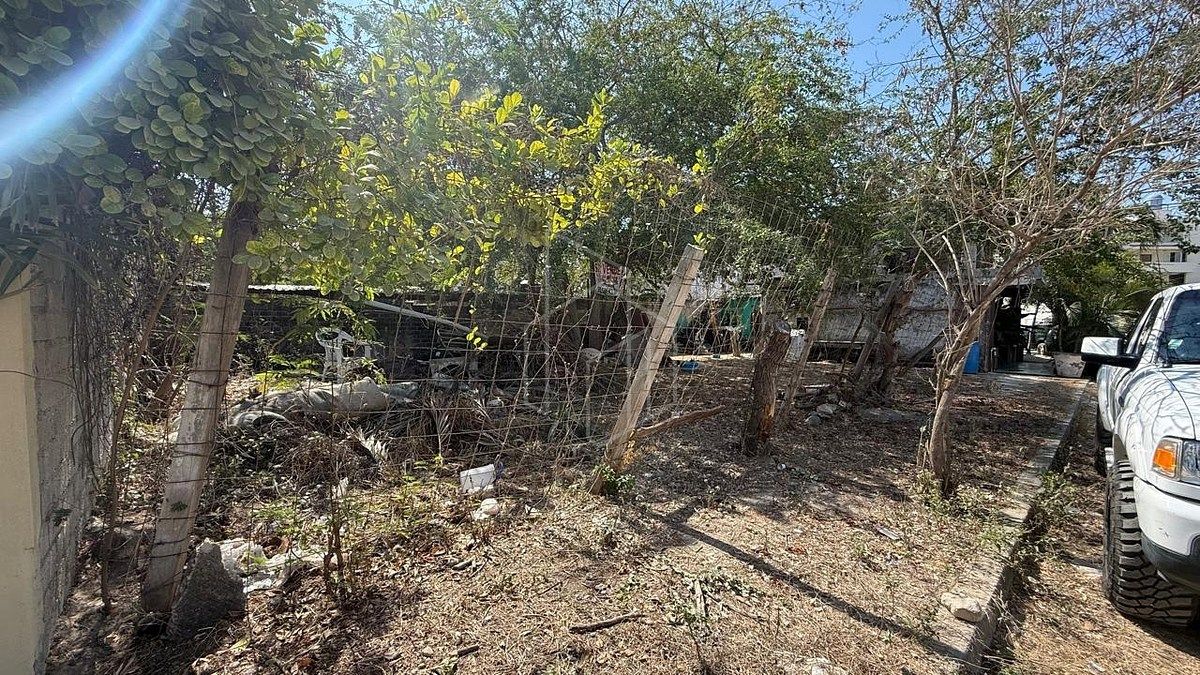 Terreno en Venta - Punta Mita, Nayarit - foto 4