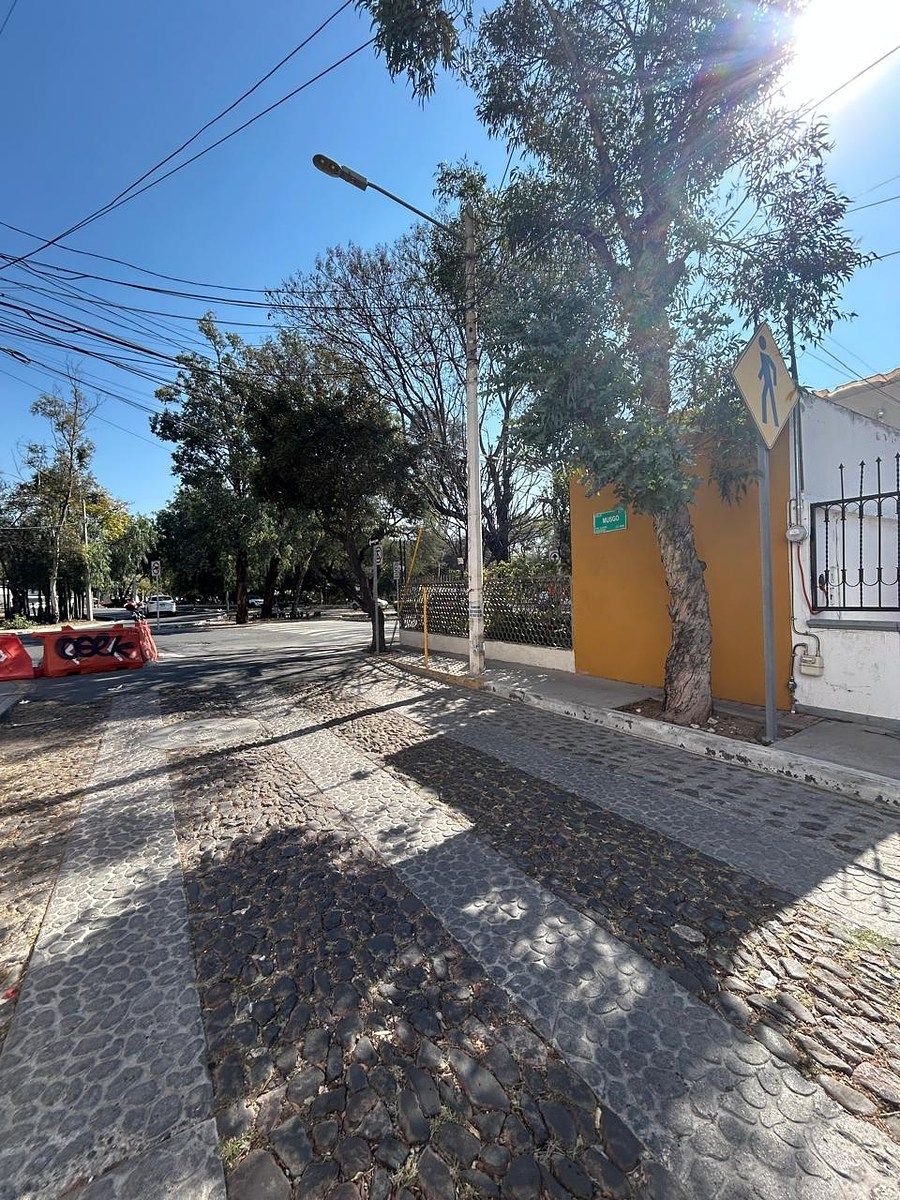 16 de 16: VISTA DEL PARQUE DESDE LA CALLE