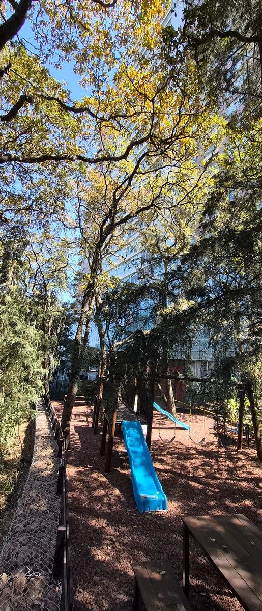 26 de 28: Departamento en Renta en Tres Cumbres Santa Fe Rayo Vende ®