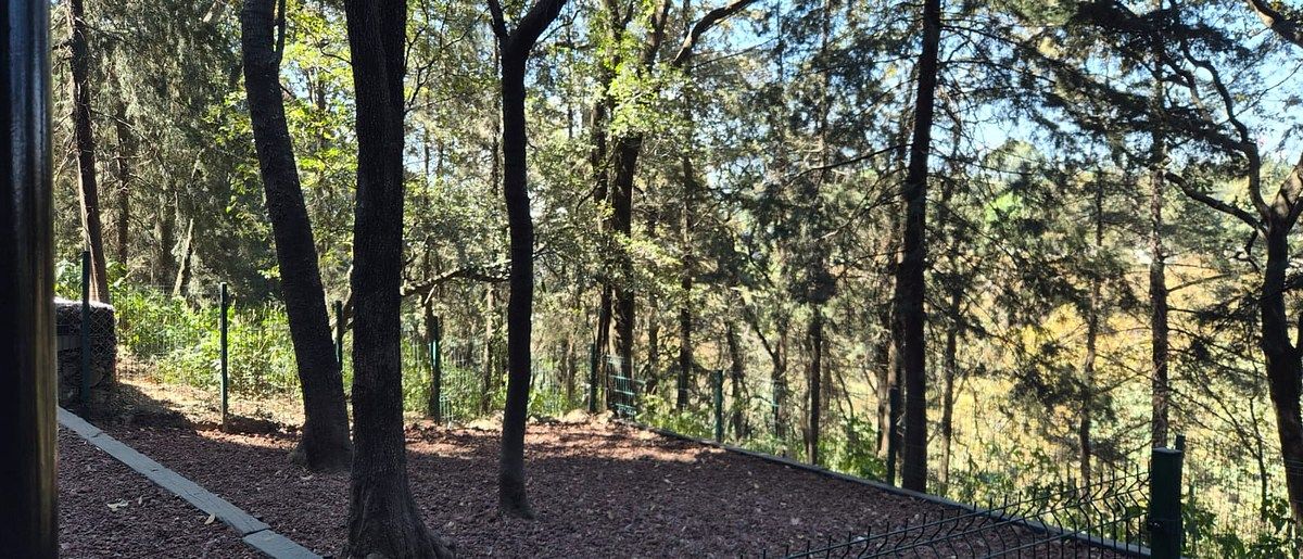 25 de 28: Departamento en Renta en Tres Cumbres Santa Fe Rayo Vende ®