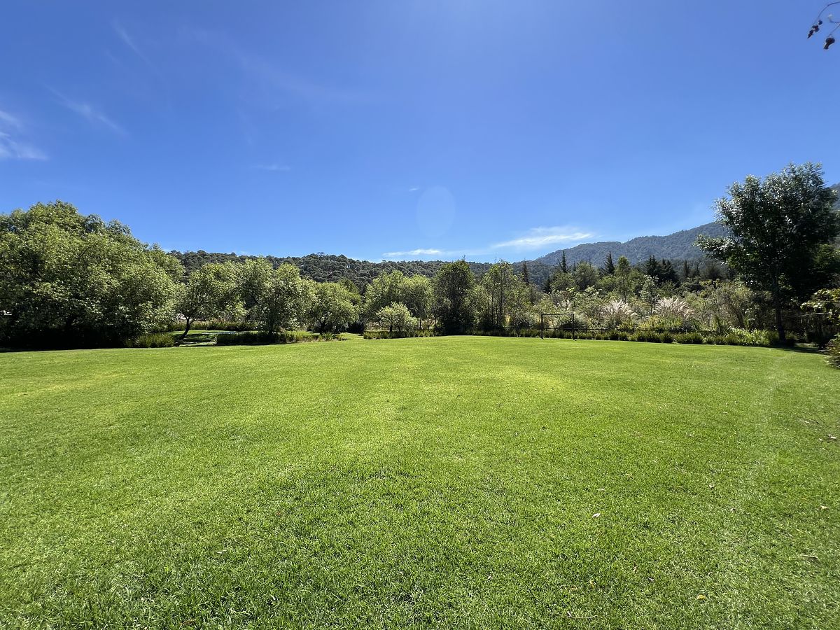 42 de 50: Jardín casa club