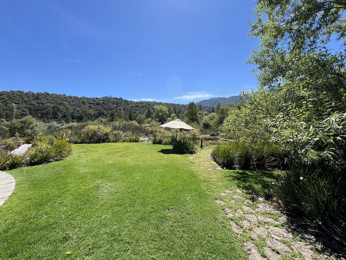 44 de 50: Jardín casa club