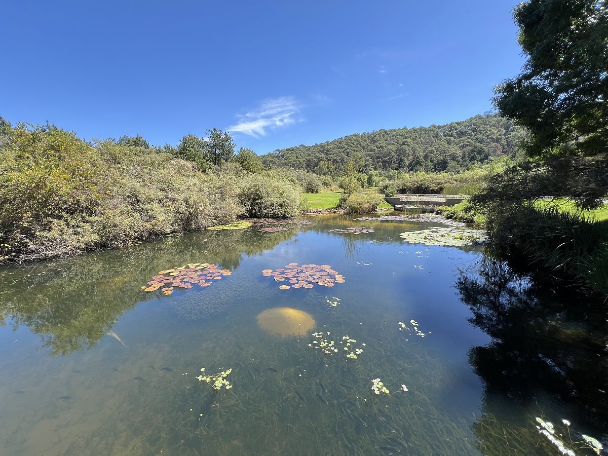 39 de 42: Lago casa club