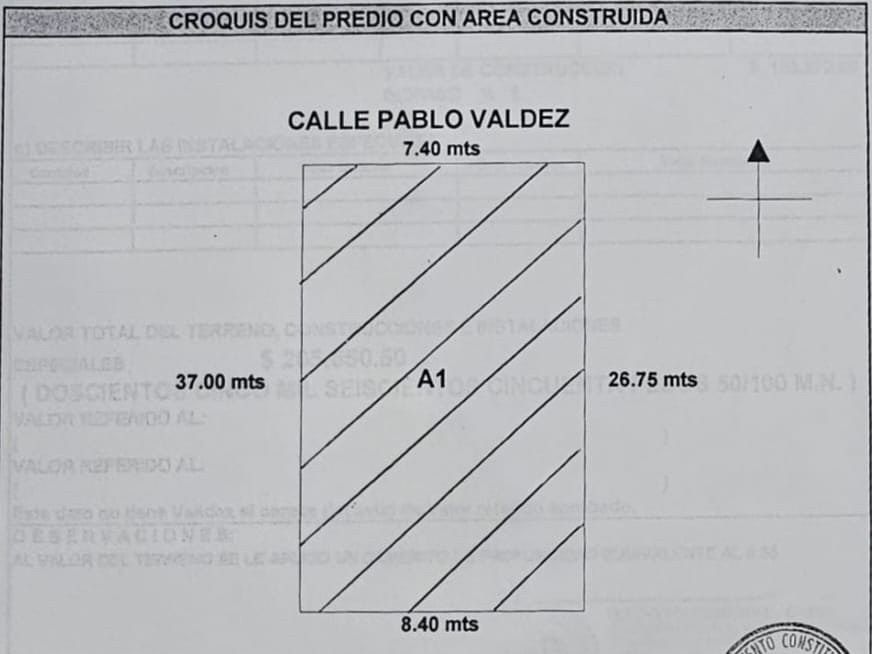 10 de 10