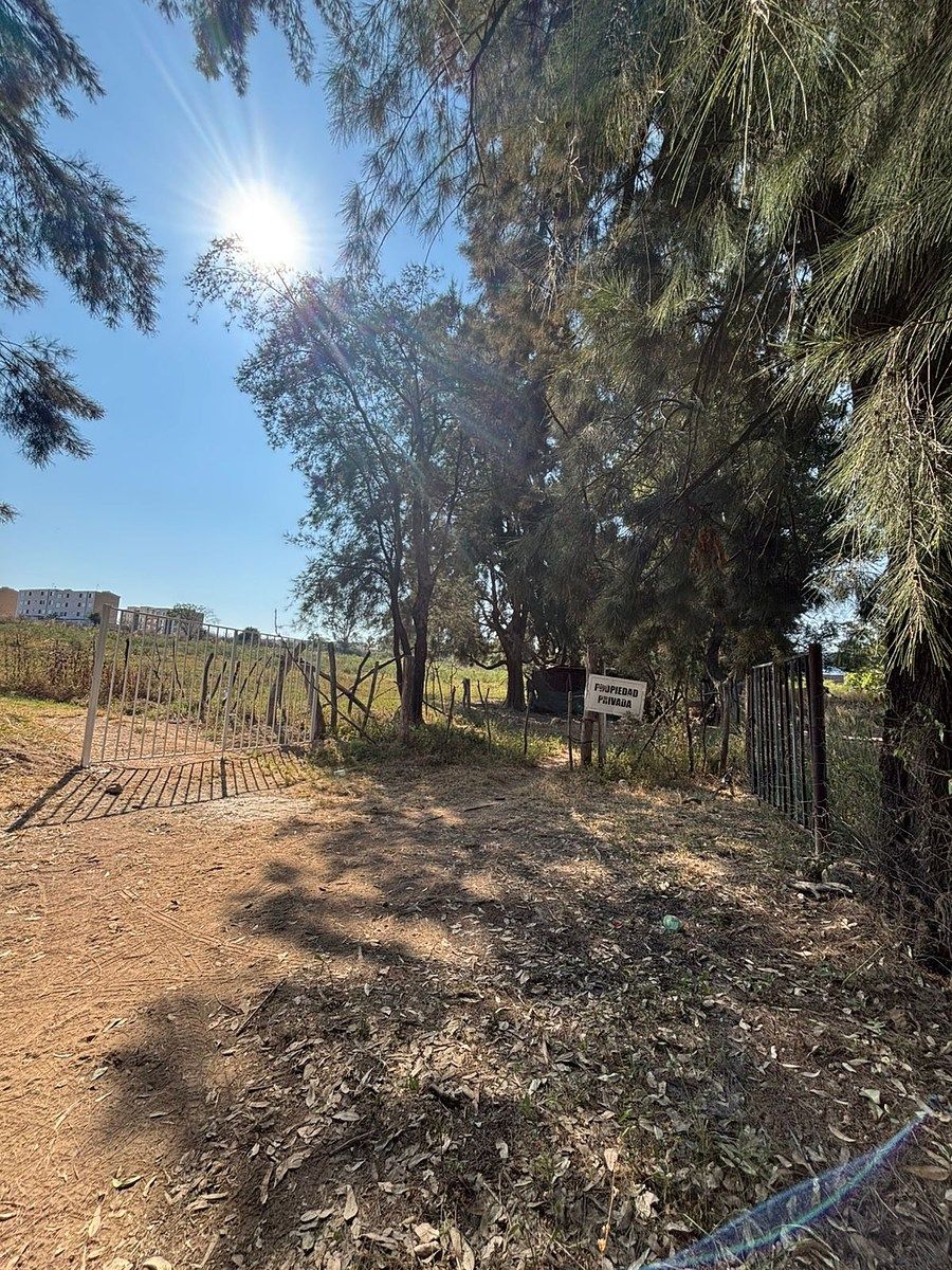 Terreno en Venta en El Taray, a 500 m de La Carr. a Colotlán, Zapopan, Jalisco - foto 1