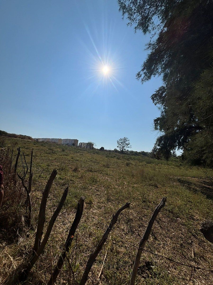 Terreno en Venta en El Taray, a 500 m de La Carr. a Colotlán, Zapopan, Jalisco - foto 5