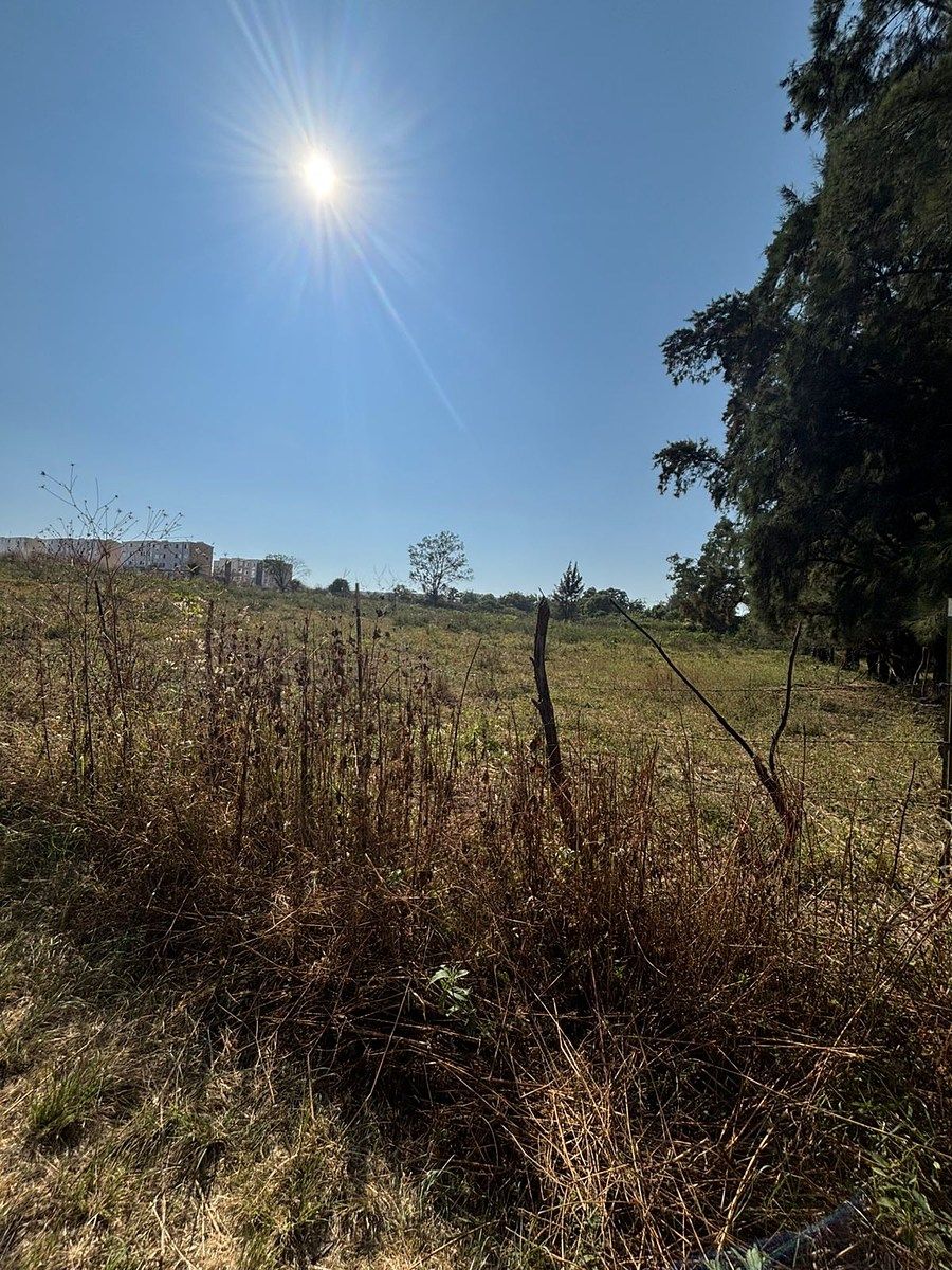 Terreno en Venta en El Taray, a 500 m de La Carr. a Colotlán, Zapopan, Jalisco - foto 4