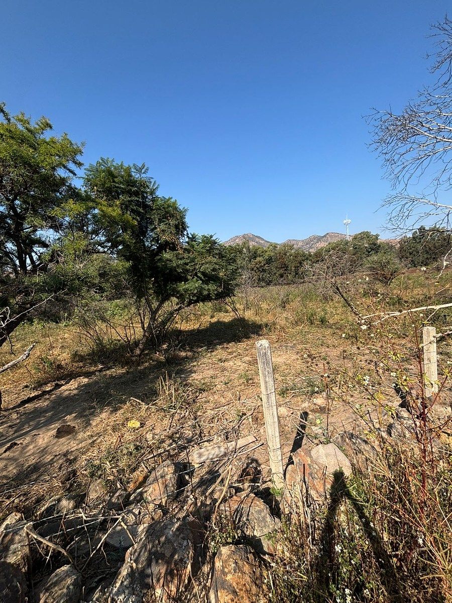 Terreno en Venta en El Taray, a 500 m de La Carr. a Colotlán, Zapopan, Jalisco - foto 1
