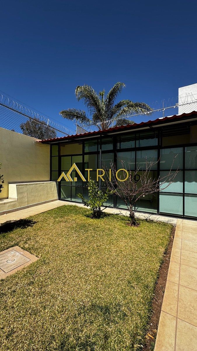 15 de 19: Jardín con vista hacia el gimnasio