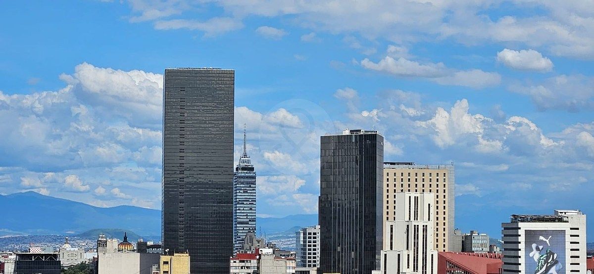 12 de 13