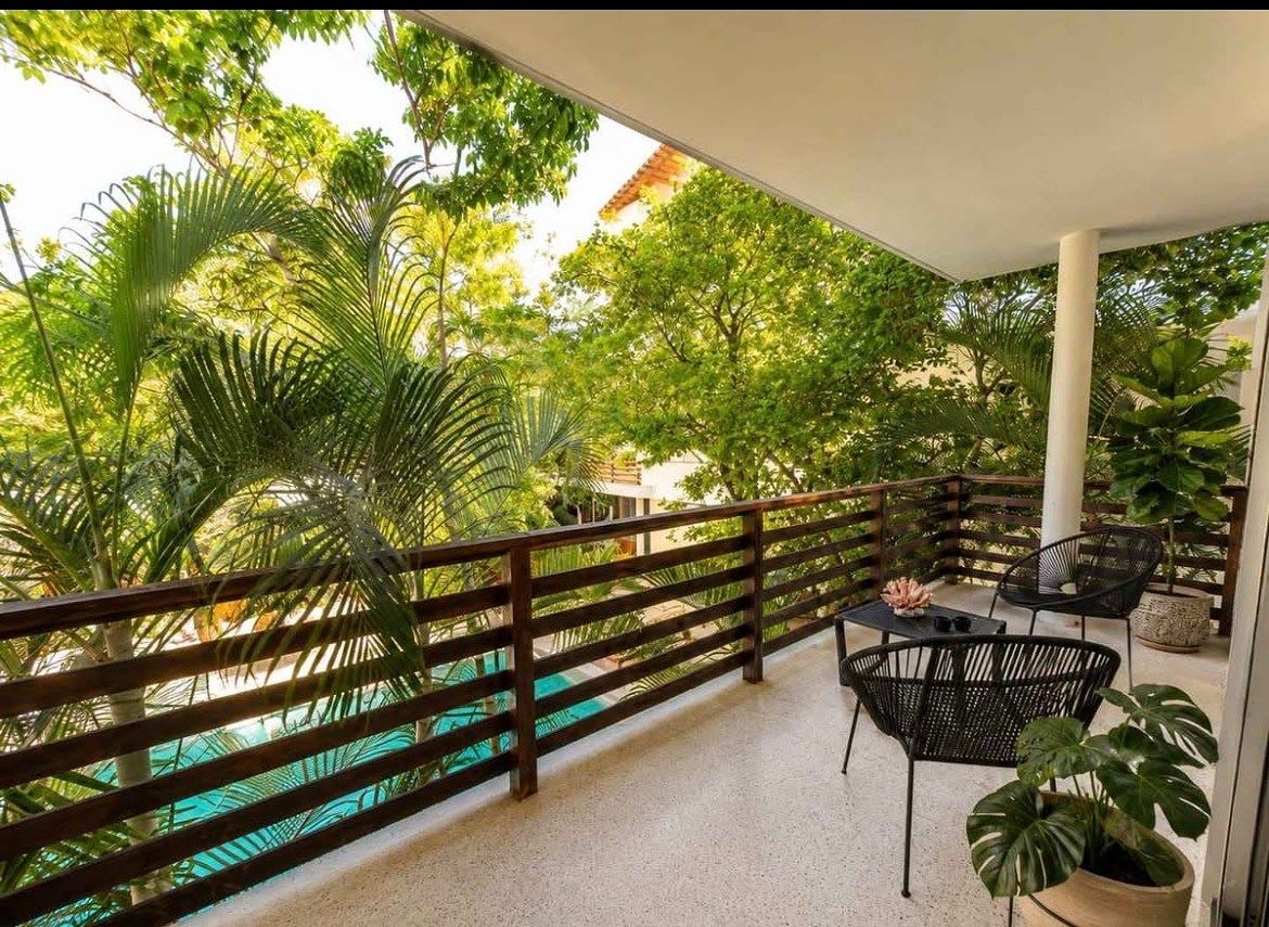 Terraza, photo 10 of 12
