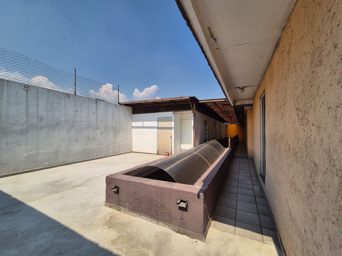 16 of 19: Terraza - Real