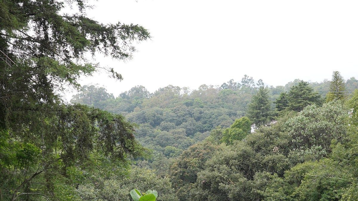 Casa en condominio en Bosques de Tarango, Álvaro Obregón, foto 12 de 19