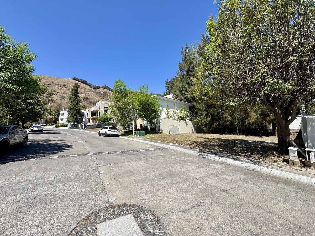 4 de 15: Avenida principal