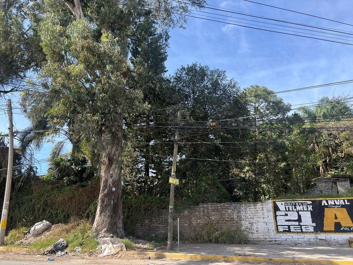 TERRENO EN VENTA EN LA TIJERA - foto 2