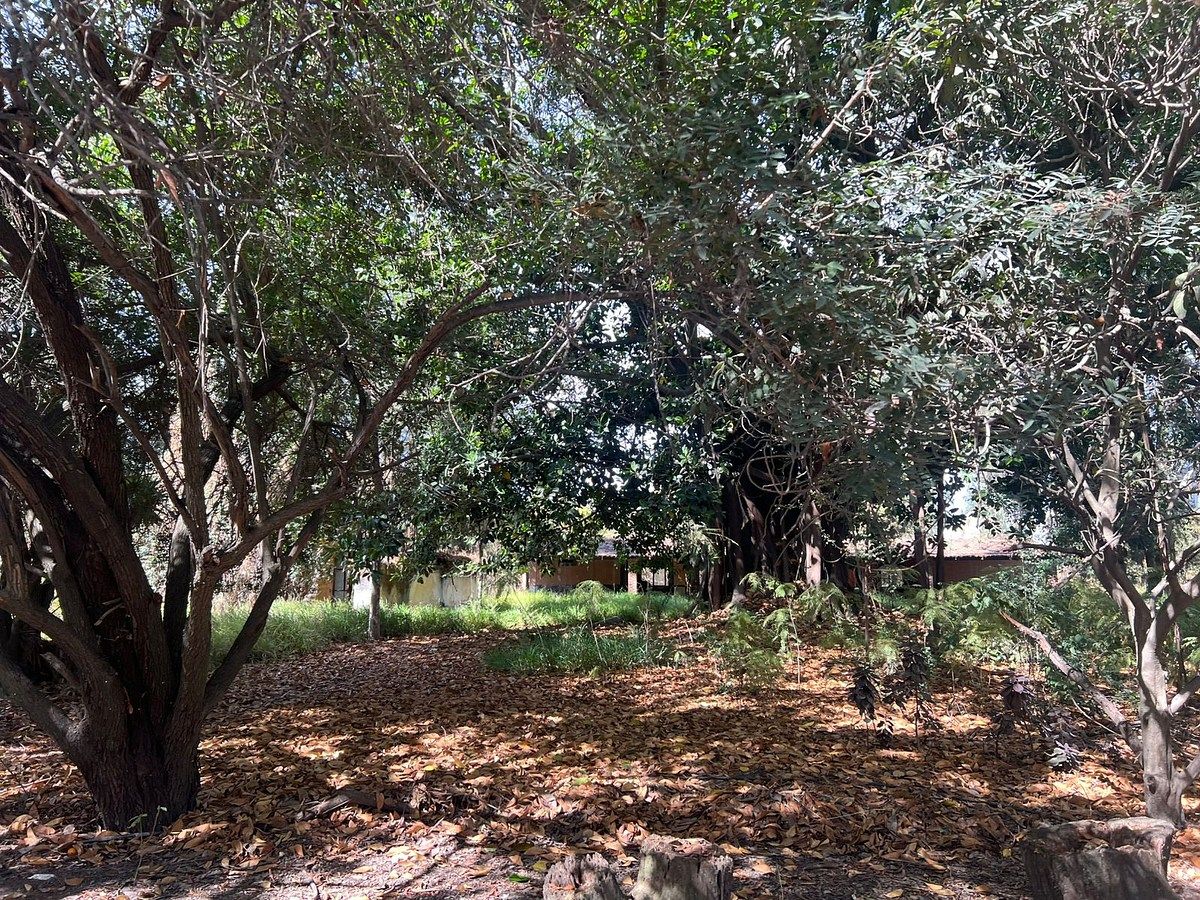 TERRENO EN VENTA EN LA TIJERA - foto 3