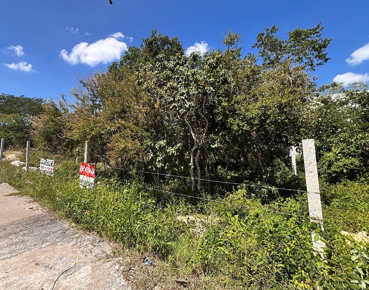 Terreno en Temozón Norte, Mérida, foto 2 de 3