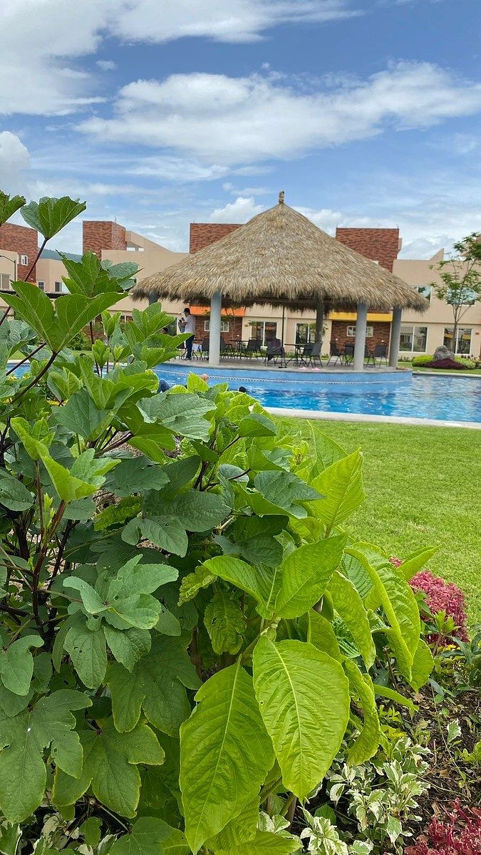 3 de 20: Otra foto de la alberca