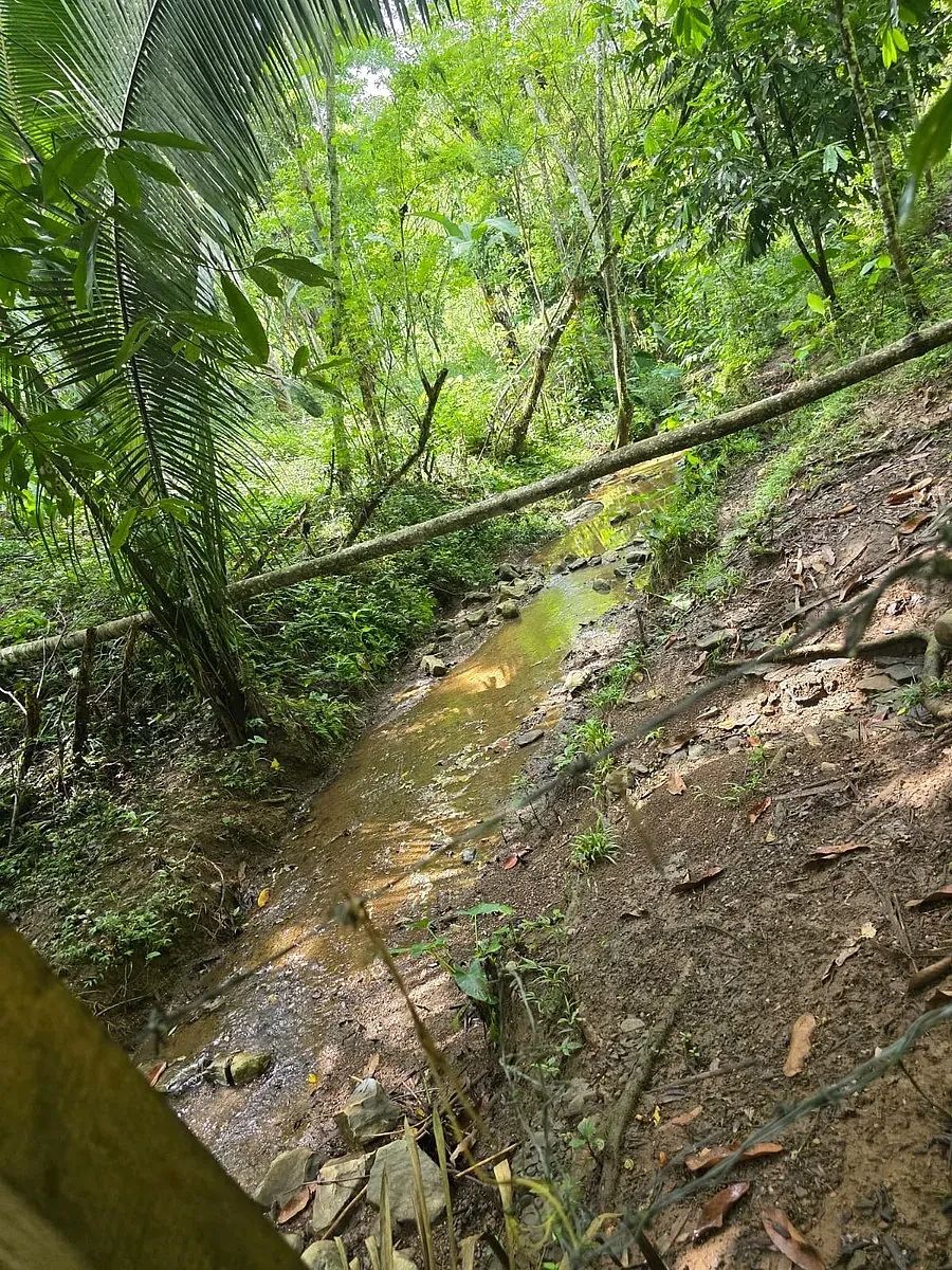 Finca en Chahal, foto 2 de 11