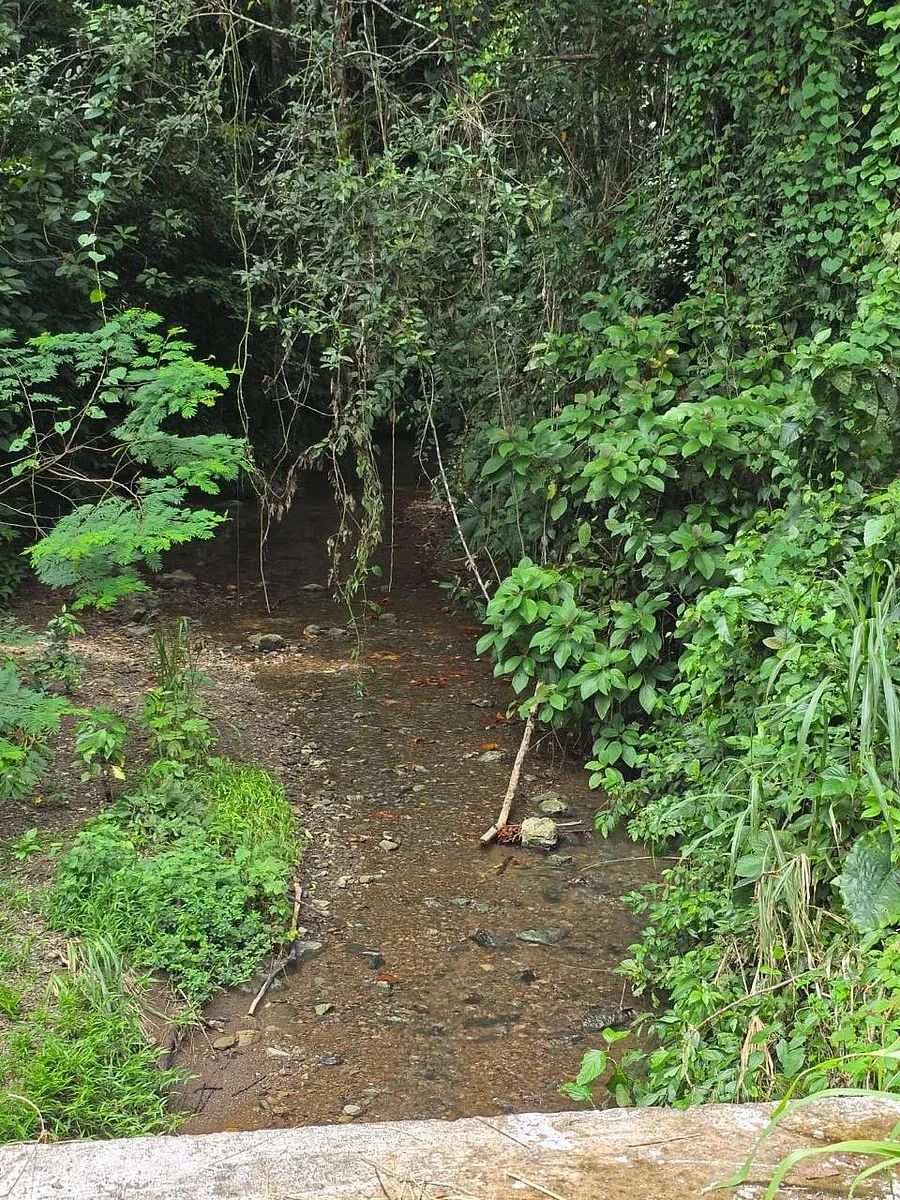 Finca en Chahal, foto 6 de 11
