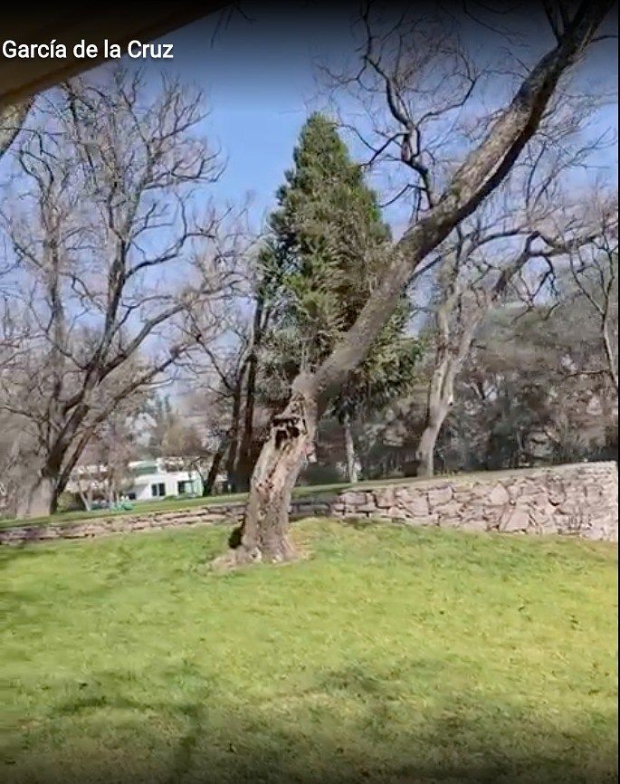 Casa en Club de Golf Valle Escondido, Atizapán de Zaragoza, foto 10 de 48