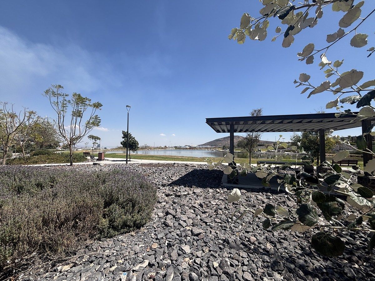 43 of 44: Contacto con la naturaleza .