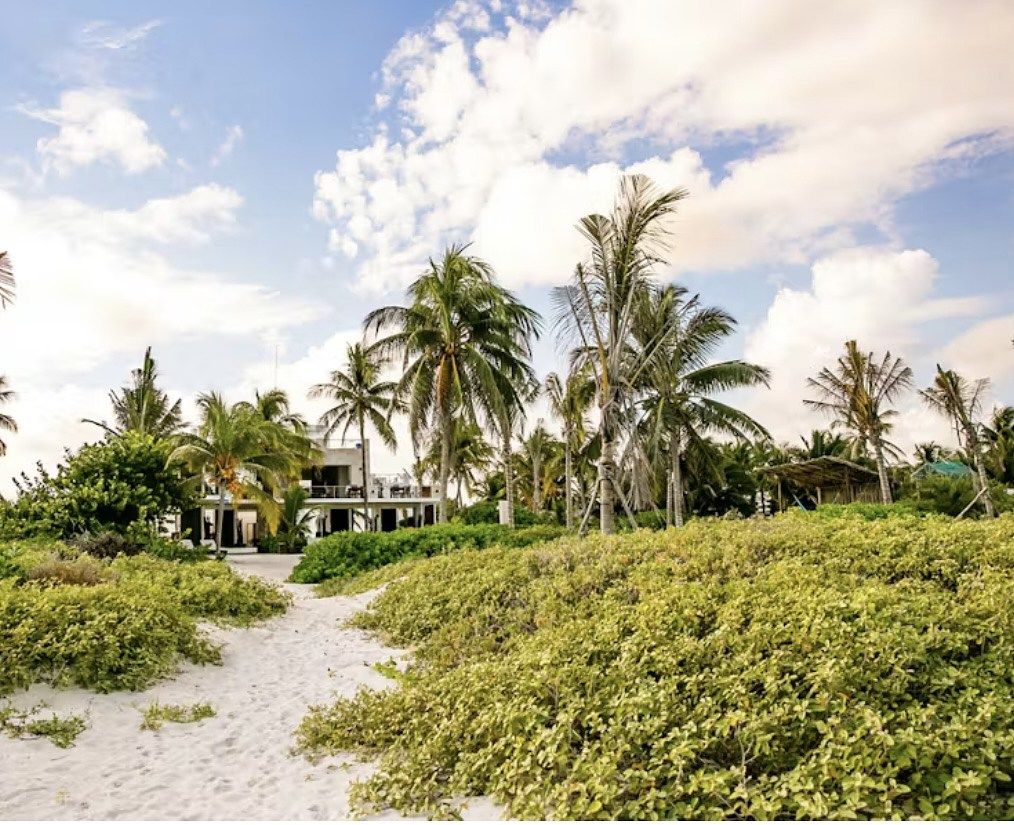 2 of 24: vista desde la playa al hotel