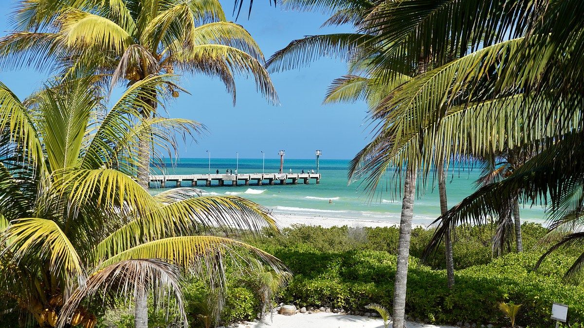 9 of 24: vista de tarreza