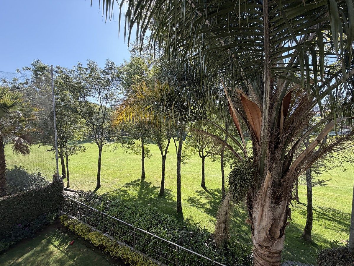 25 de 35: Vista de la Rec Principal