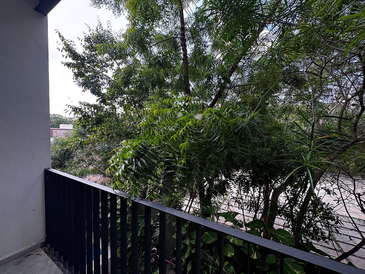 18 de 19: Terraza
