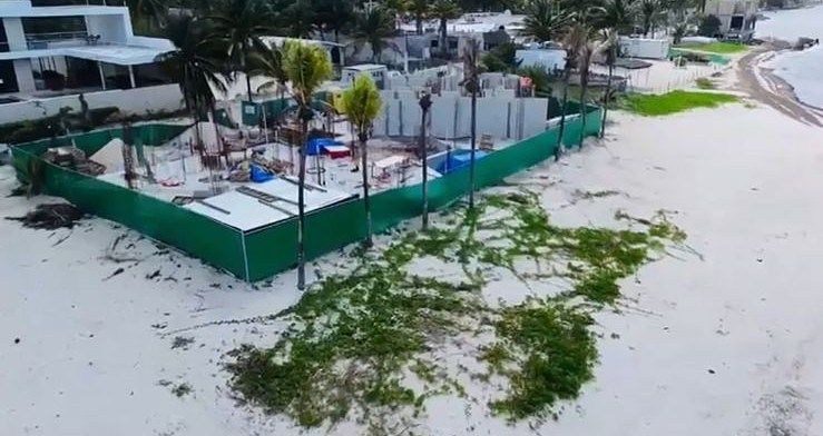 14 de 16: AVANCE 2026