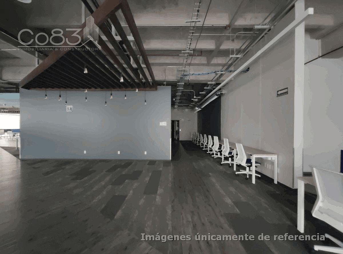 5 de 12