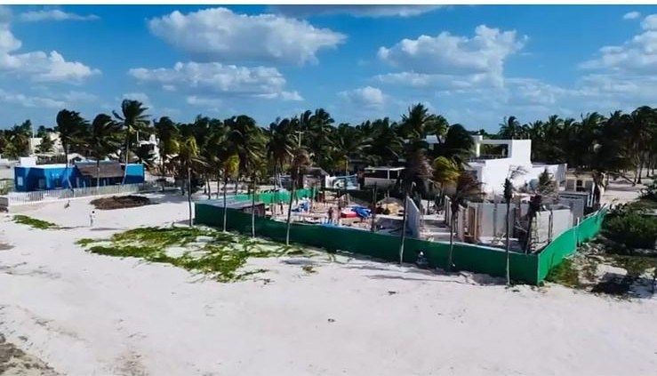 14 de 15: AVANCE 2026