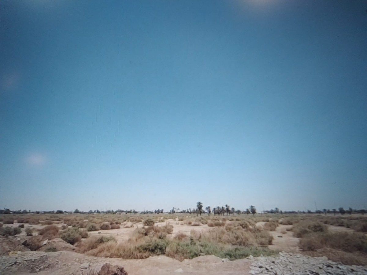 7 of 11: zona sur del predio