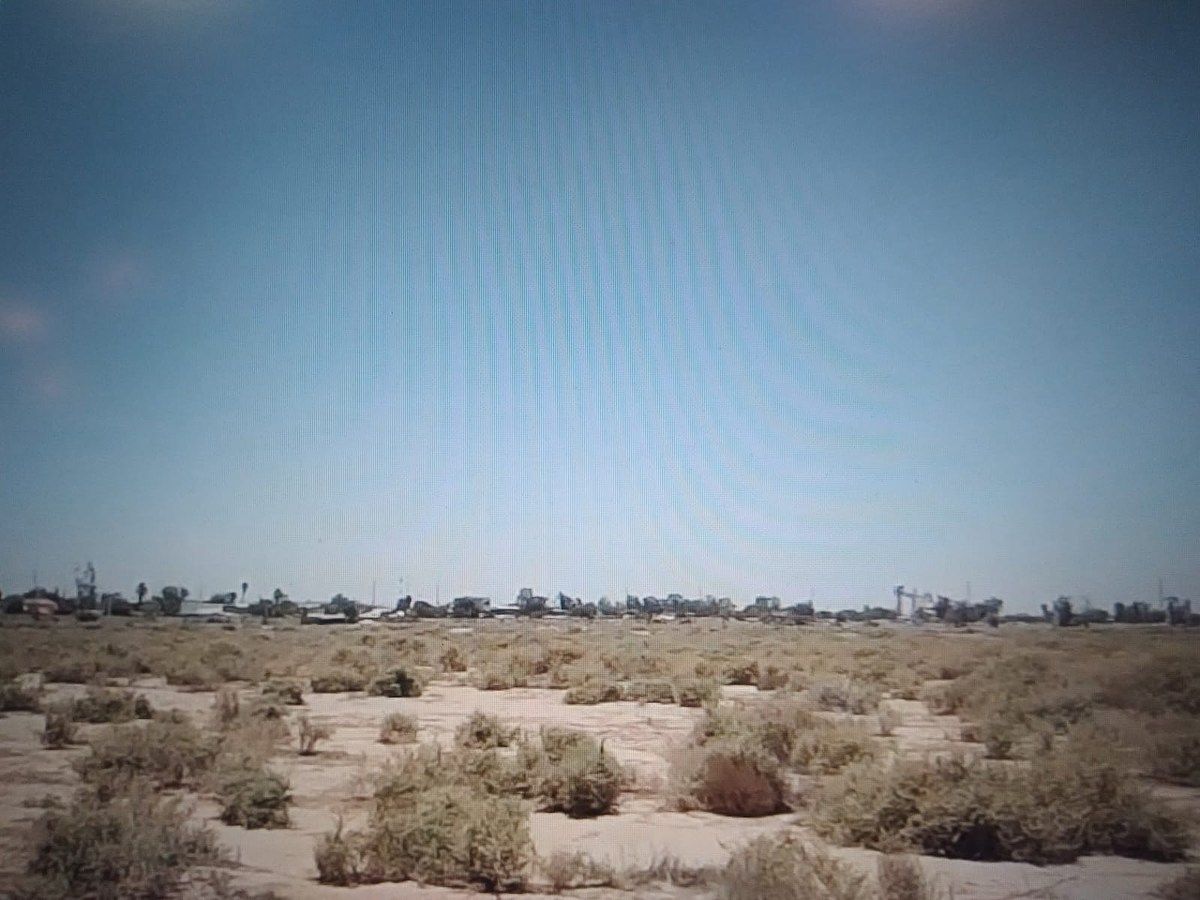 11 of 11: zona sureste del predio