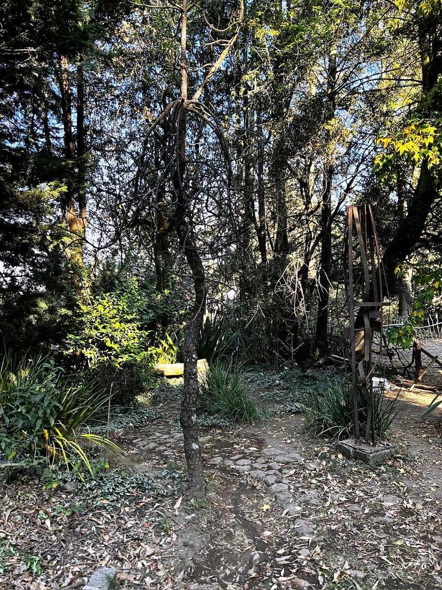 Casa en Santa Rosa Xochiac, Álvaro Obregón, foto 8 de 45