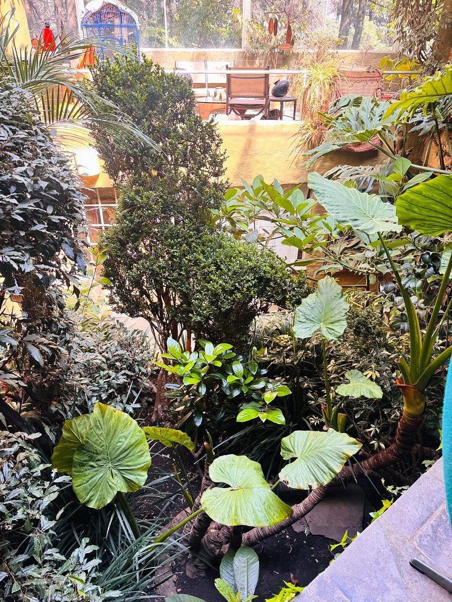Casa en Santa Rosa Xochiac, Álvaro Obregón, foto 31 de 45