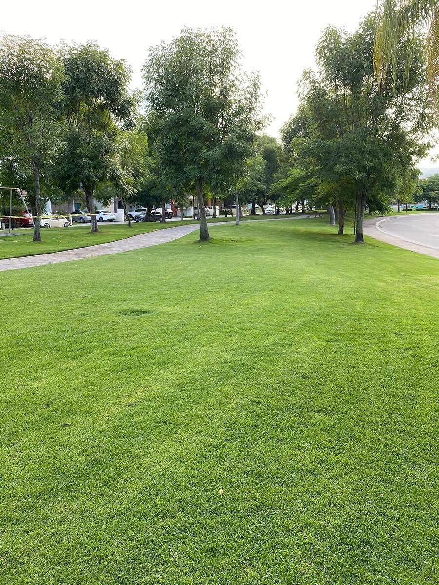 36 de 43