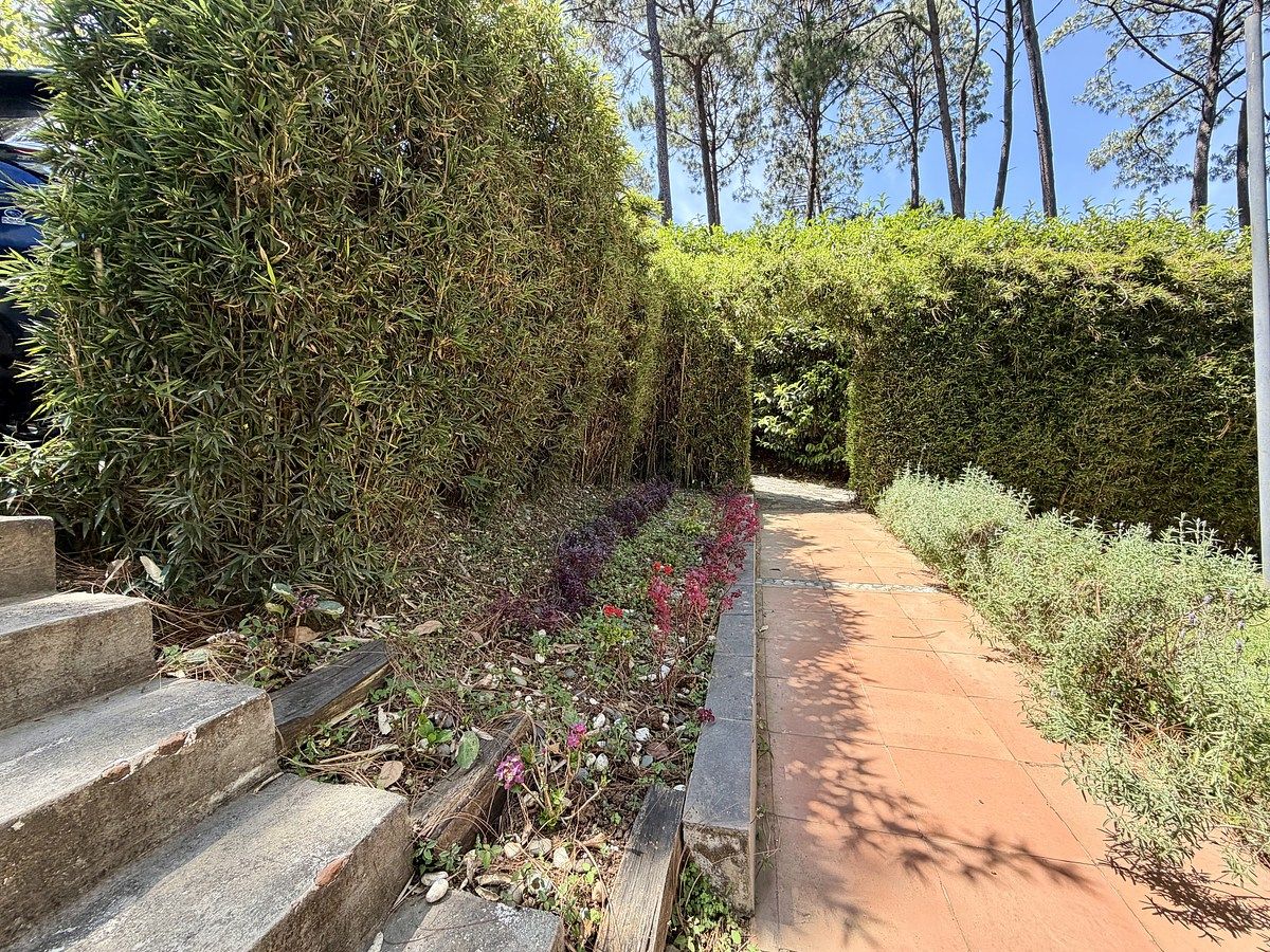 5 de 23: Jardín Entrada