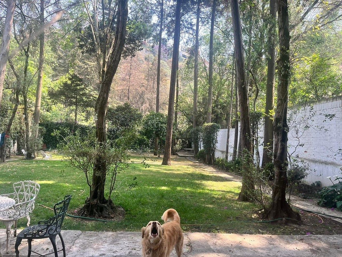 Casa en La Herradura, Naucalpan de Juárez, foto 2 de 19