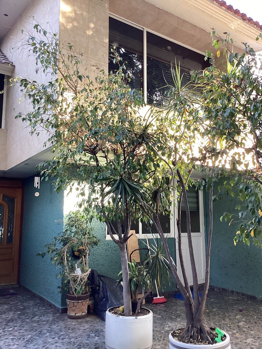 16 de 16: @bierainmx