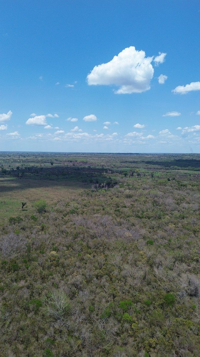 Fazenda em Acalan, Candelaria, foto 6 de 6
