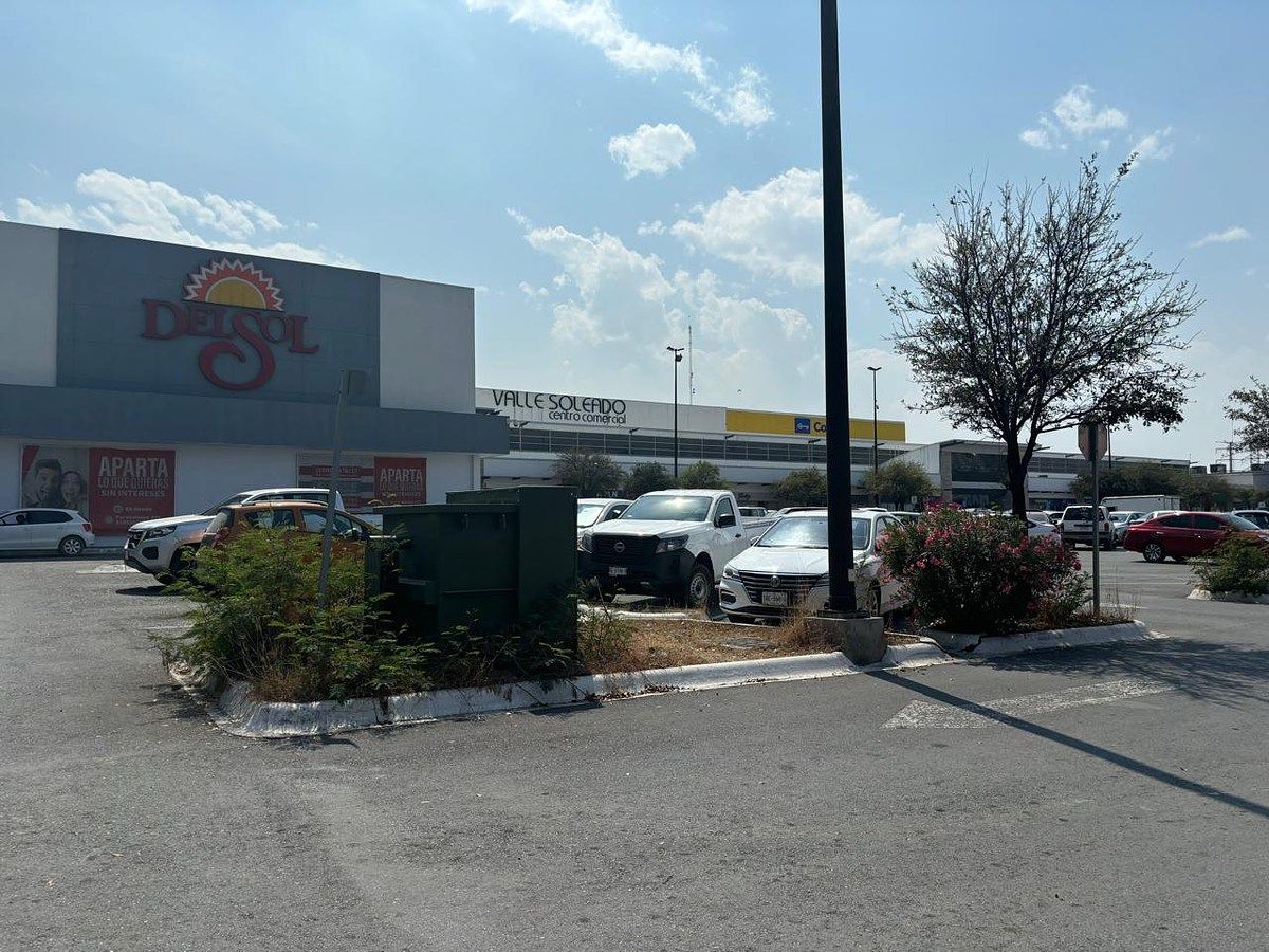 3 de 6: LOCAL GUADALUPE