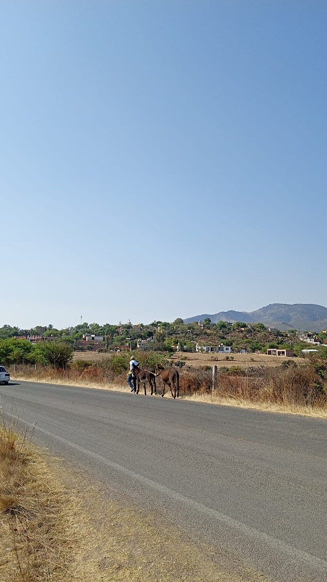 Sosnabar Land